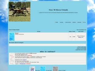 Over 50 Horse Friends